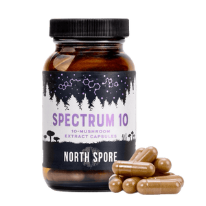 Brown glass bottle of Spectrum 10 capsules with black cap, next to a pile of brown capsules.