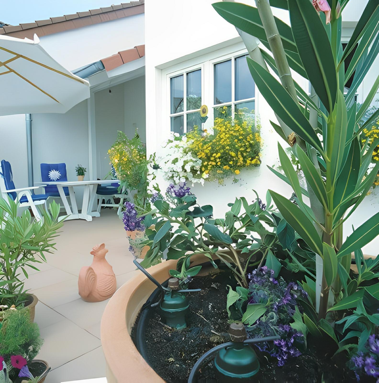 Green irrigation drippers installed in a large terracotta planter on a sunlit patio with lush plants and flowers.