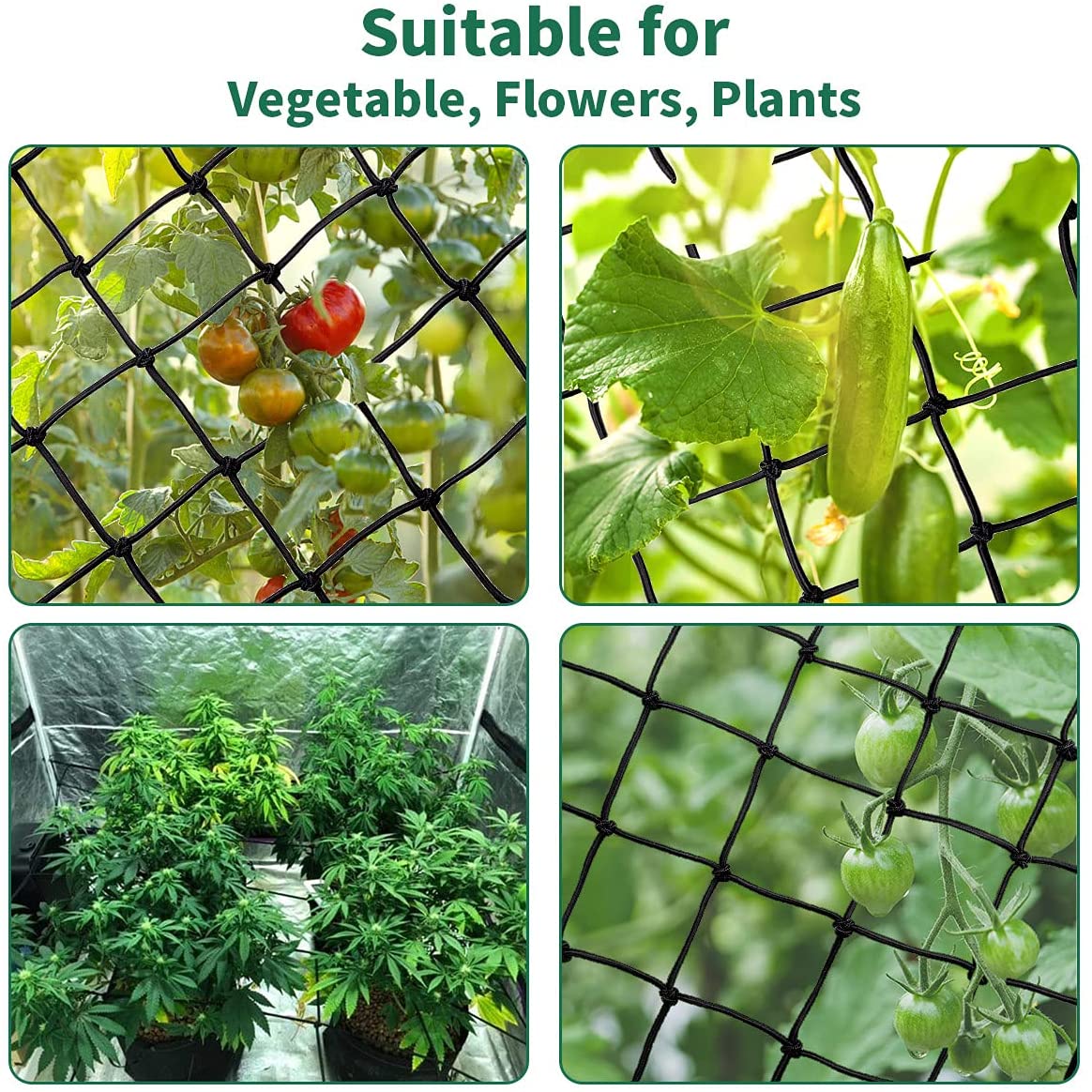 AC Infinity Grow Tent Trellis NETTING, Flexible Elastic Cords 5'x5'