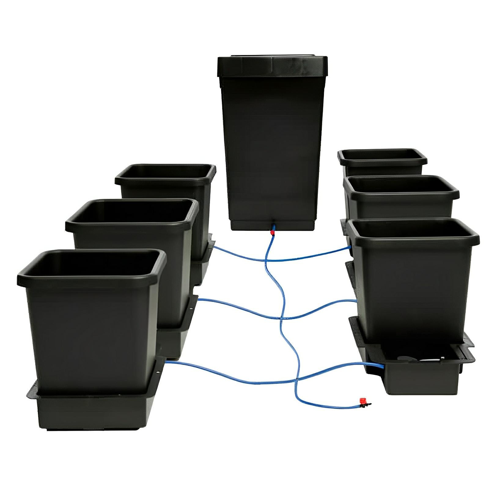 Hydroponic system with six black square pots connected by blue tubing to a central black reservoir tank.