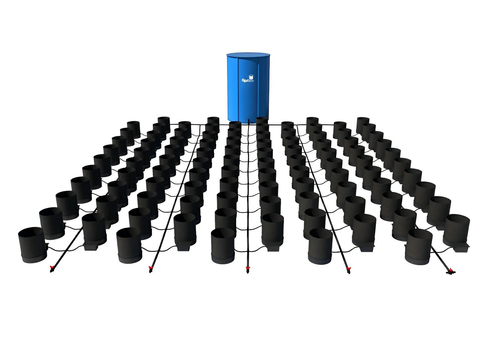 Hydroponic system with rows of black buckets connected by black tubing to a central blue water reservoir.