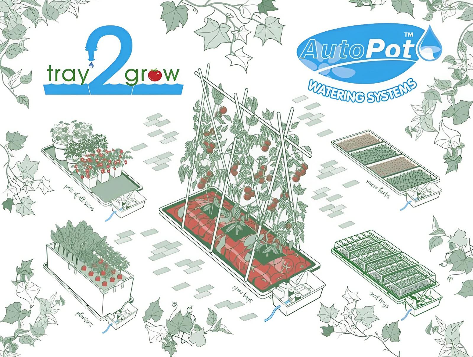 AutoPot Tray2Grow illustration showing various setups for automated watering of pots, grow bags, seeds, and micro-herbs.