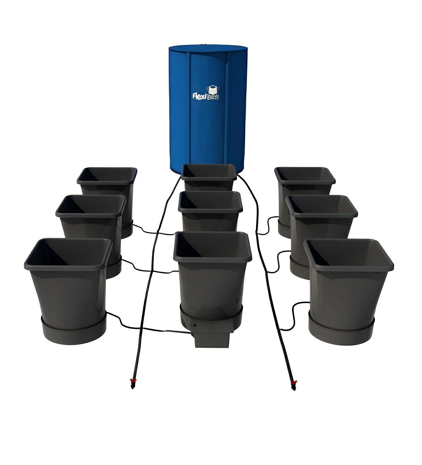 Blue FlexiTank reservoir connected to eight grey hydroponic grow pots with black irrigation tubing.