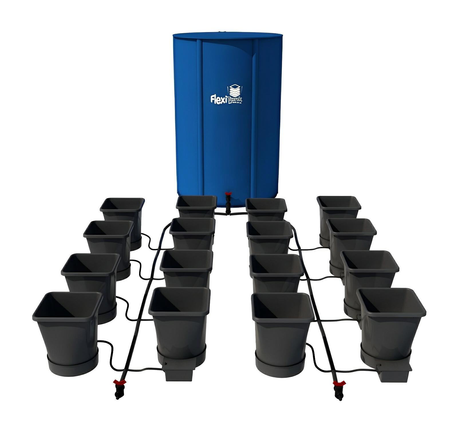 Blue FlexiTank reservoir connected to a 12-pot hydroponic watering system with black square pots and irrigation lines.