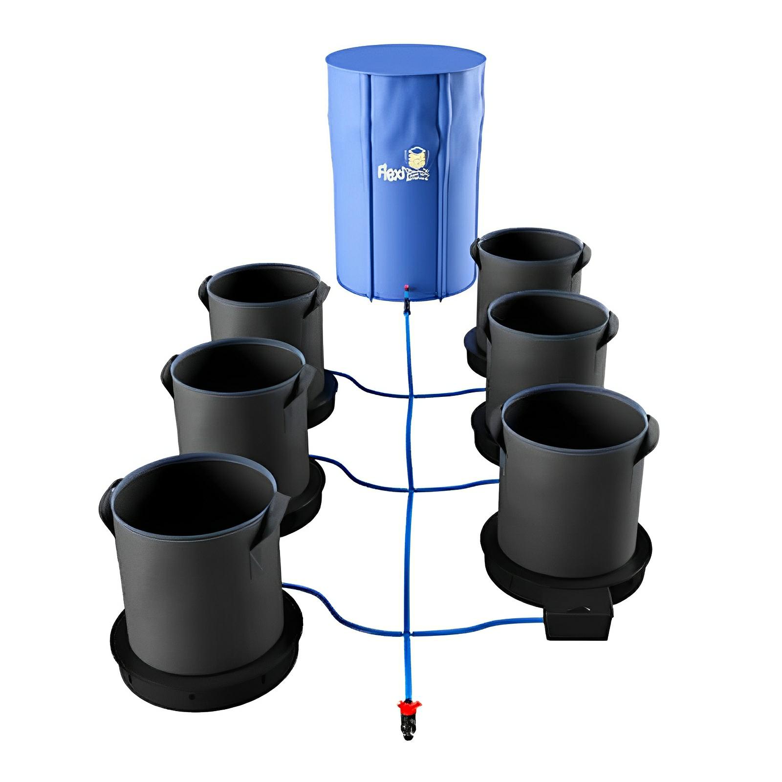 Blue FlexiTank reservoir connected by blue tubing to six black fabric grow pots on irrigation trays.