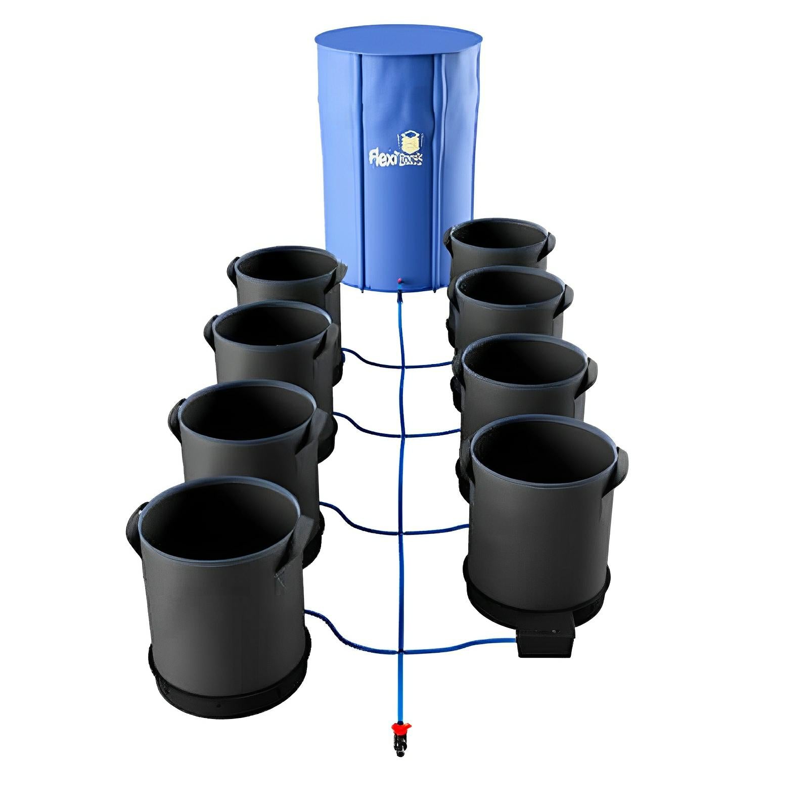 Blue FlexiTank reservoir connected by blue tubing to eight grey fabric pots in a two-row hydroponic irrigation system.