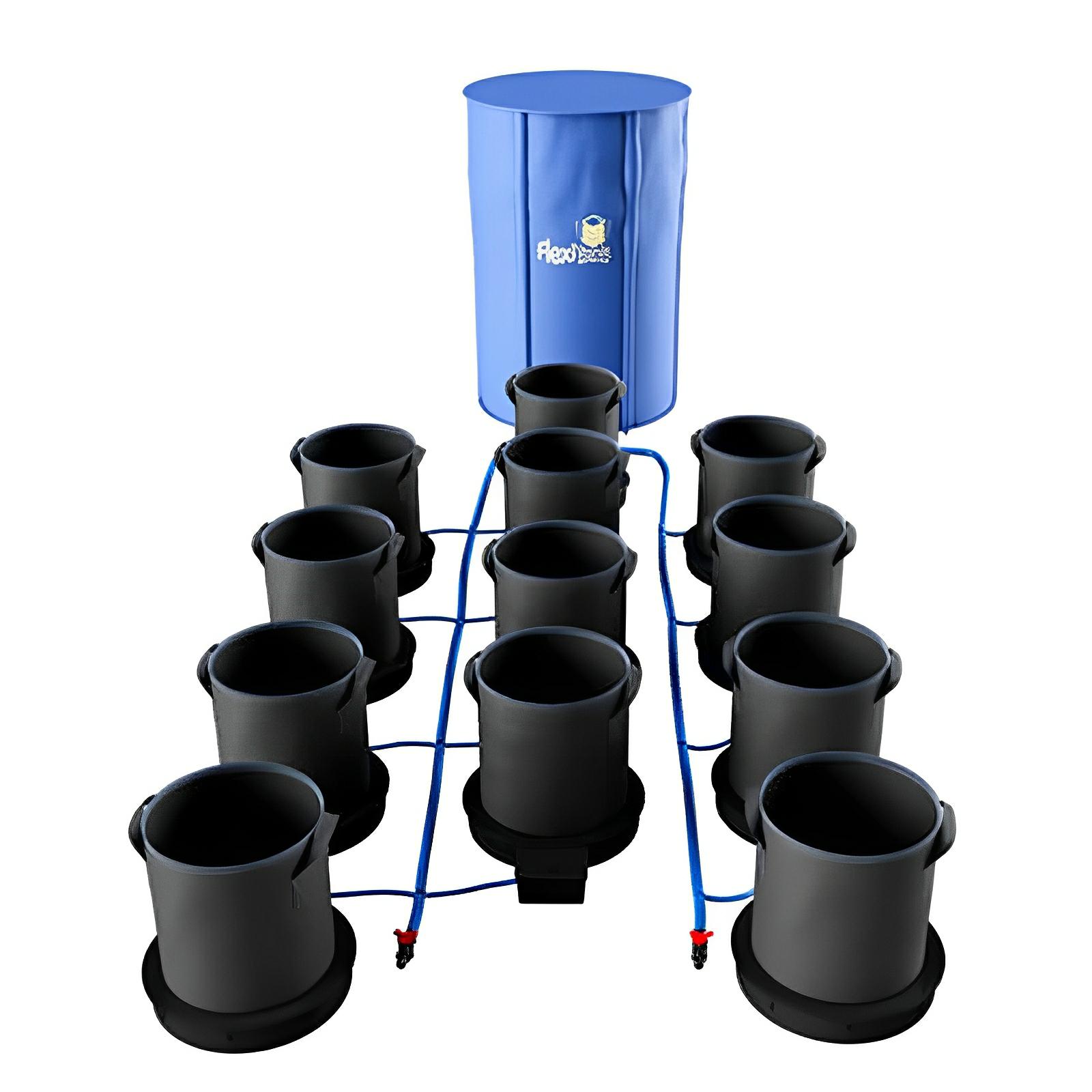 Hydroponic system with 12 black fabric pots connected by blue tubing to a blue cylindrical water reservoir.