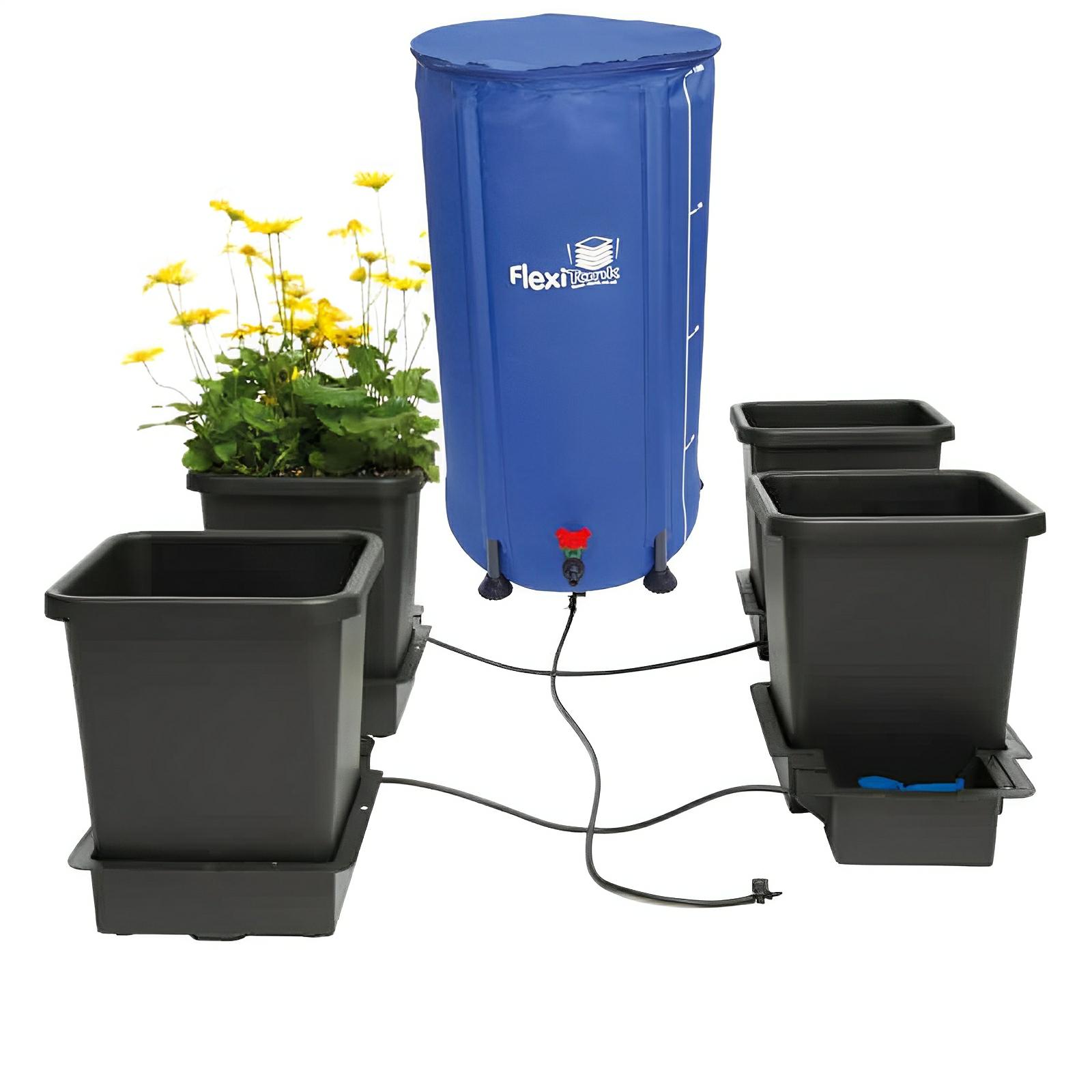 Autopot 4-pot self-watering system with a blue FlexiTank and black plastic pots connected by irrigation tubing.