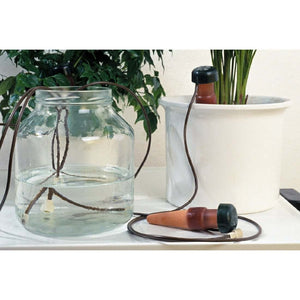 Clay watering spikes connected by tubes to a glass water reservoir, used to self-water a white potted plant.