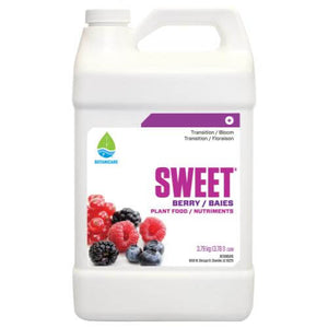 White 3.79kg jug of Botanicare Sweet Berry plant food with a label featuring fresh raspberries and blackberries.