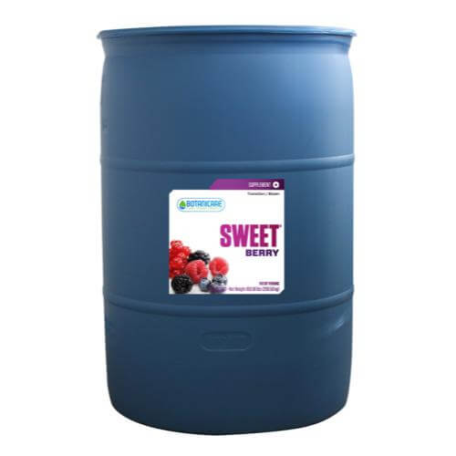 Large blue plastic industrial drum of Botanicare Sweet Berry plant supplement with berry graphic on white label.