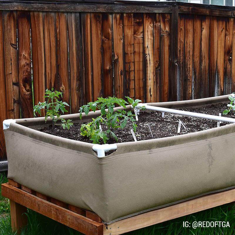 Tan fabric raised garden bed on a wood frame with white PVC corners and young green tomato plants.