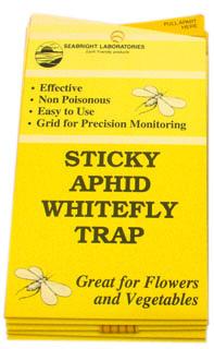 Bright yellow, rectangular non-toxic insect trap for monitoring aphids and whiteflies on plants.