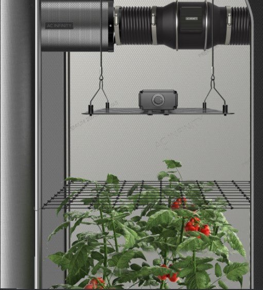 ac infinity 4x4 tent AC Infinity Grow Tent Trellis Netting Flexible Elastic Cords 4x4'