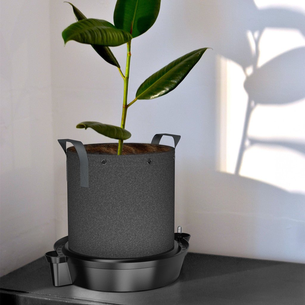 plant pot with saucer hay AC Infinity Self Watering Pot Bases, 4 Pack