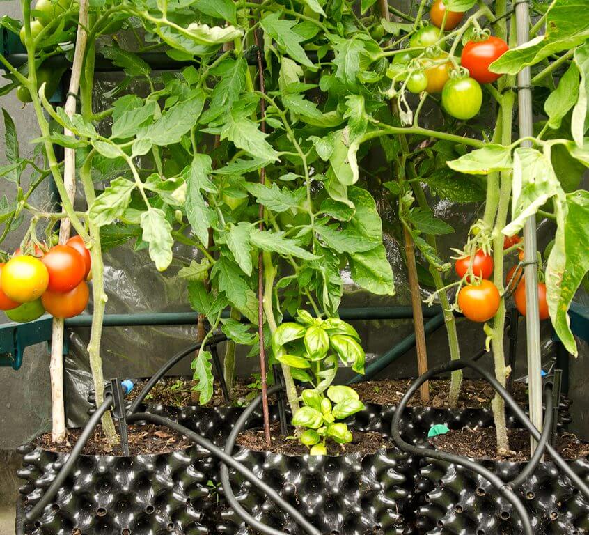 air pruning plant pots Air-Pot #1 Air Pruning Pots .8 Gallon