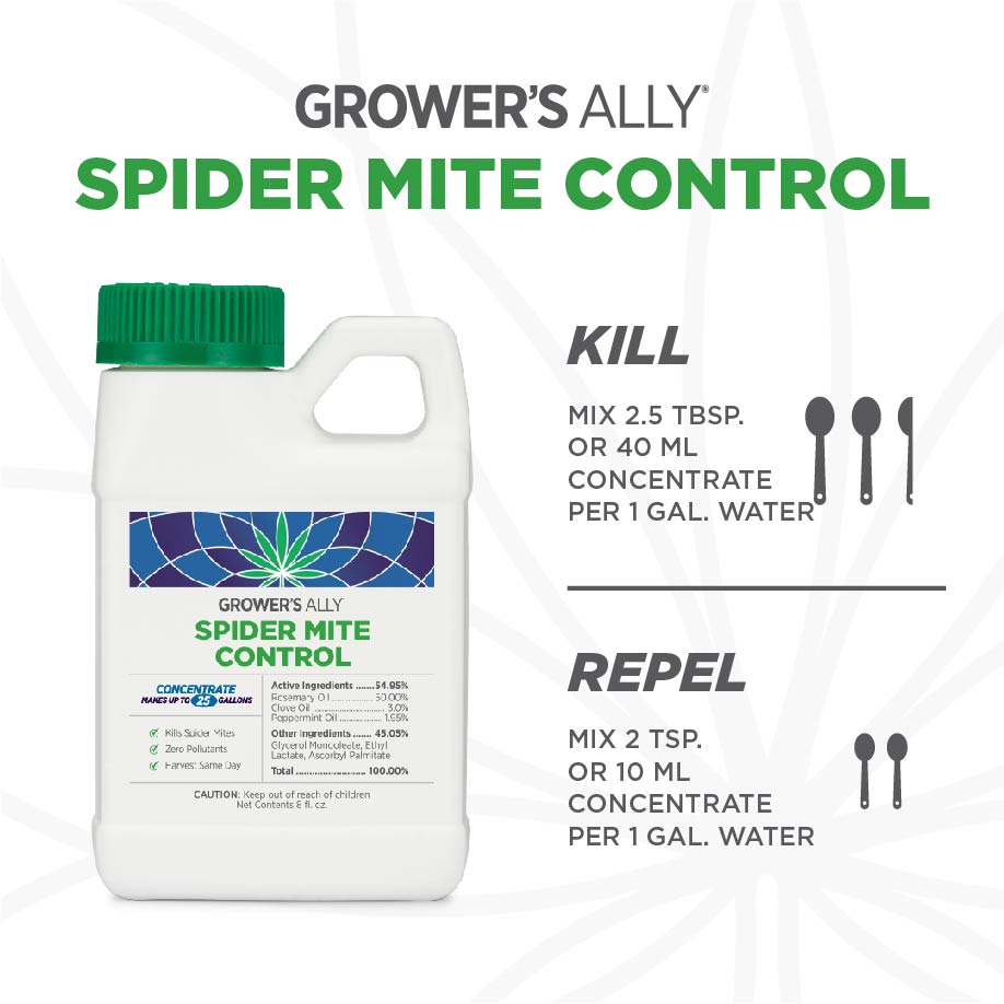 hydrogen peroxide for plants spider mites Grower's Ally Spider Mite Control