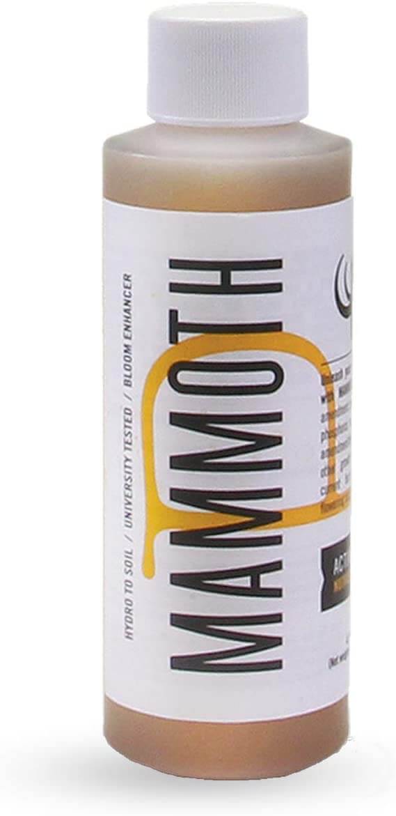 Mammoth P 250ml マンモスP Amazon.com : Mammoth Organic Bloom Booster | Mammoth P Organic