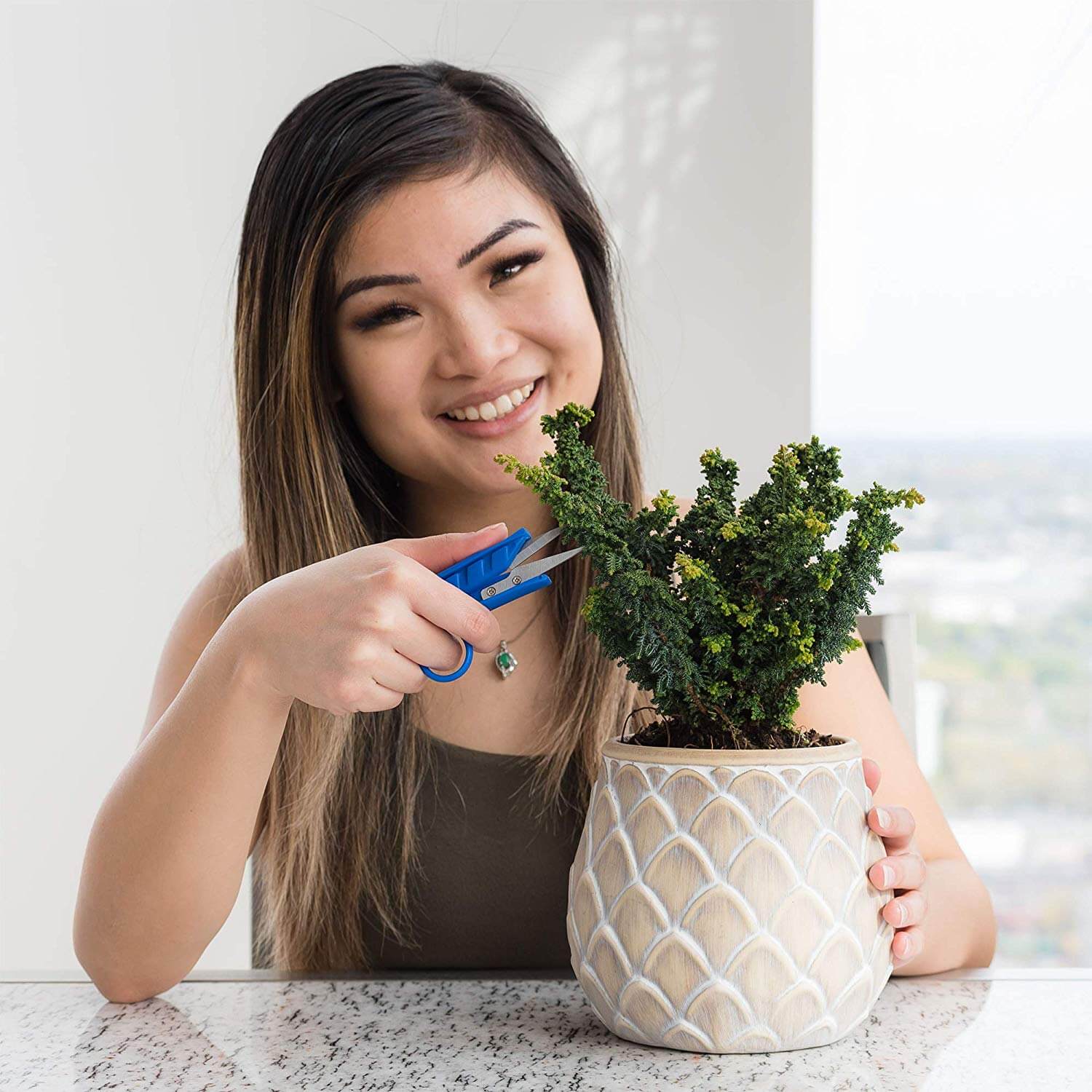 house plant scissors Mini Clippers