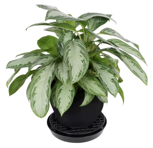plant pot elevator Gro Pro NX Level Pot Elevator