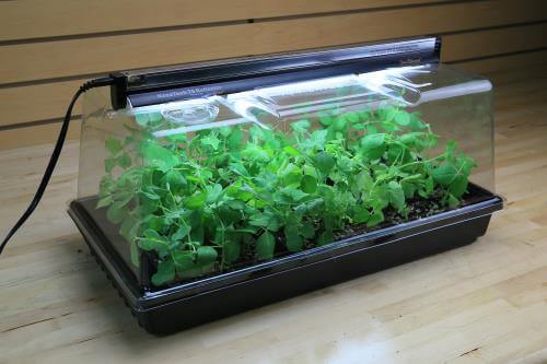 Super Sprouter Propagation Kit - Thumbnail 5